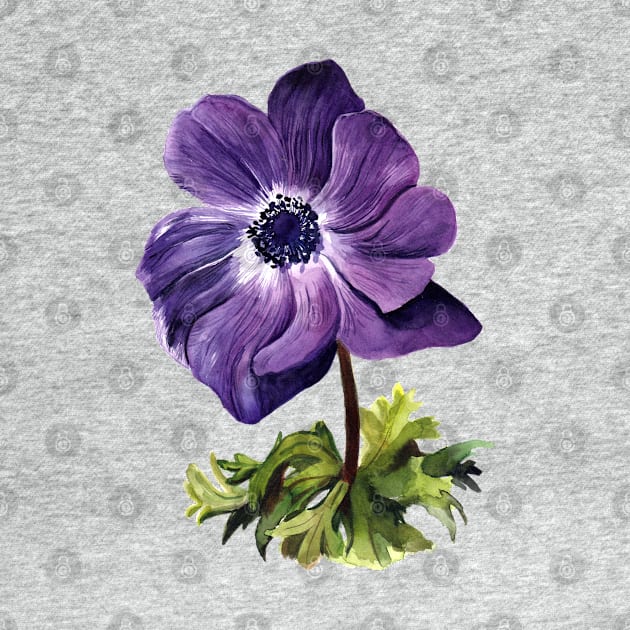 Anemone by artofsuff